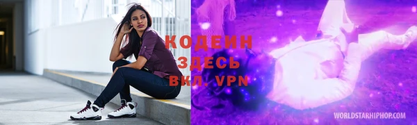 spice Ельня